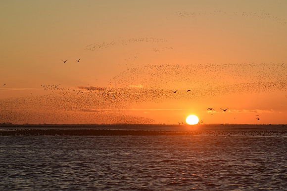snettisham13