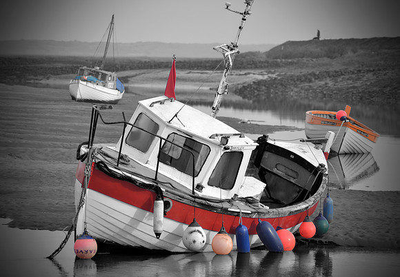 _DSC0551