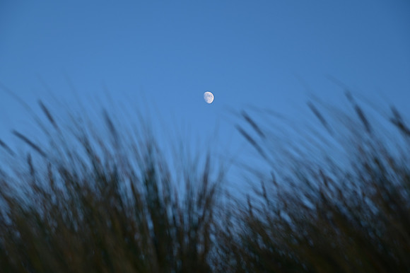DSC_0792