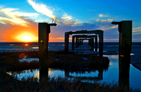 _DSC0184