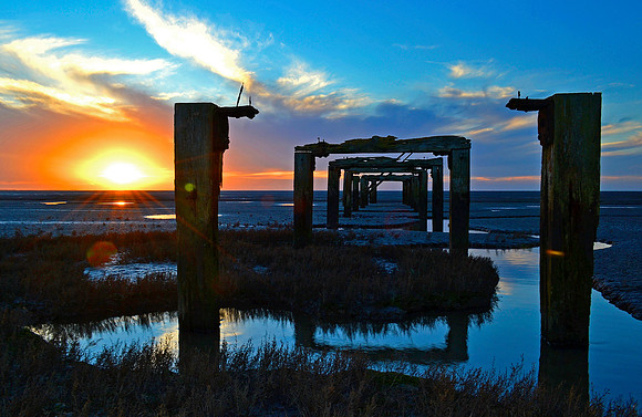 _DSC0184