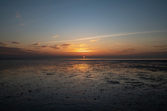DSC_1200