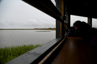 Titchwell Photo Walk