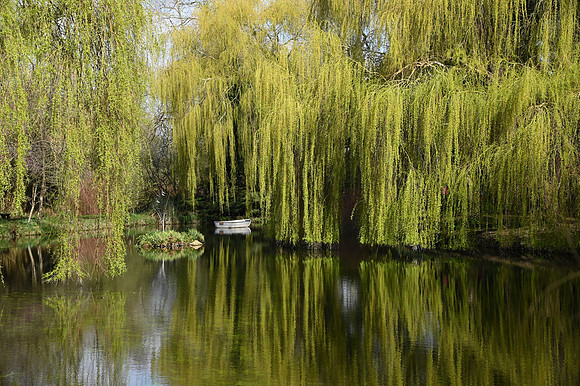 DSC_1746