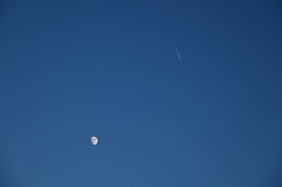 DSC_0804