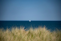 DSC_2521small