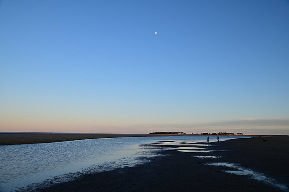 DSC_0797