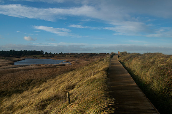 DSC_0066