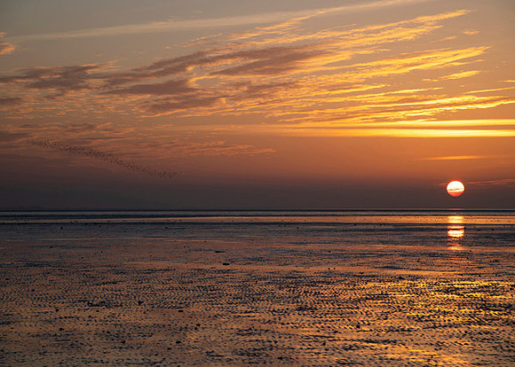 12 Snettisham
