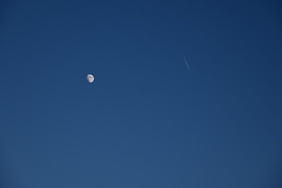 DSC_0809