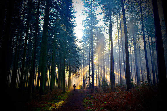 enlightenment