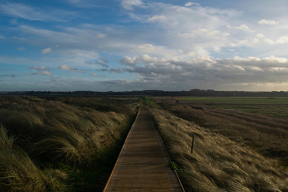 DSC_0068