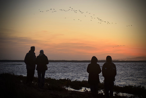 snettisham15