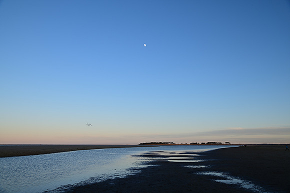 DSC_0796
