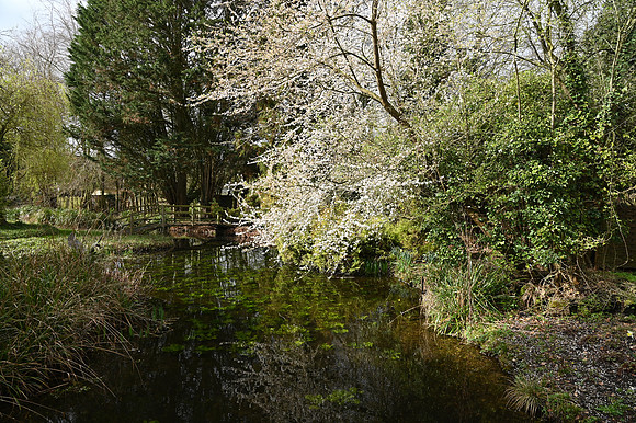 DSC_1700