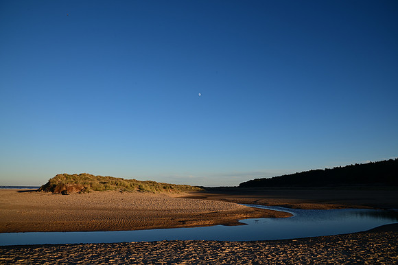 DSC_0763