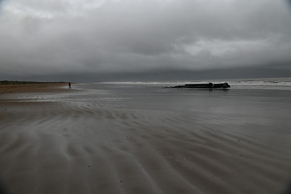 DSC_8271