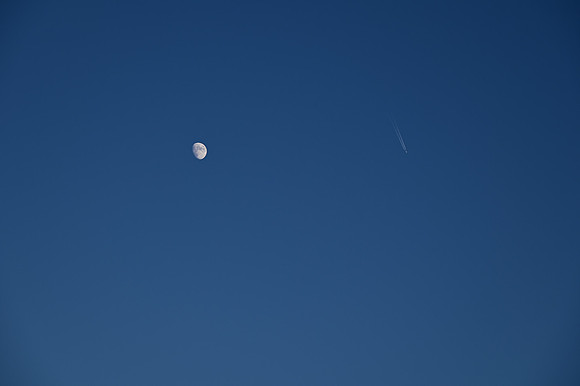 DSC_0810