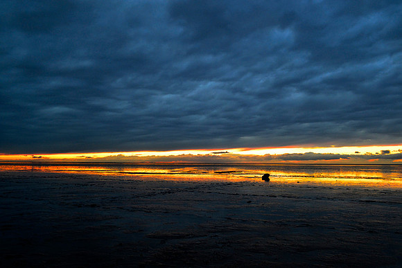 1. One - Snettisham