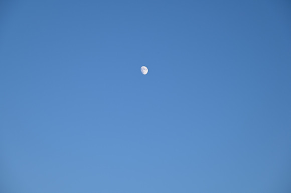 DSC_0801