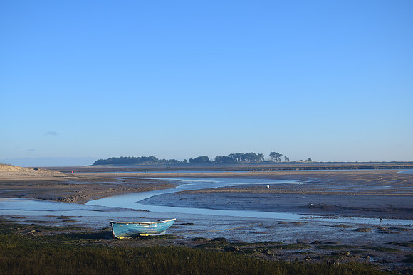 DSC_0220