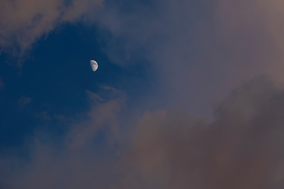 DSC_1318