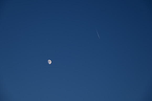 DSC_0806