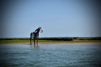 balancing blues