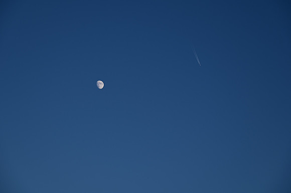 DSC_0808