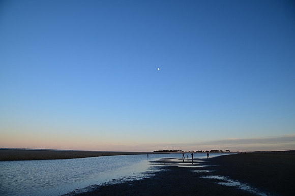 DSC_0800