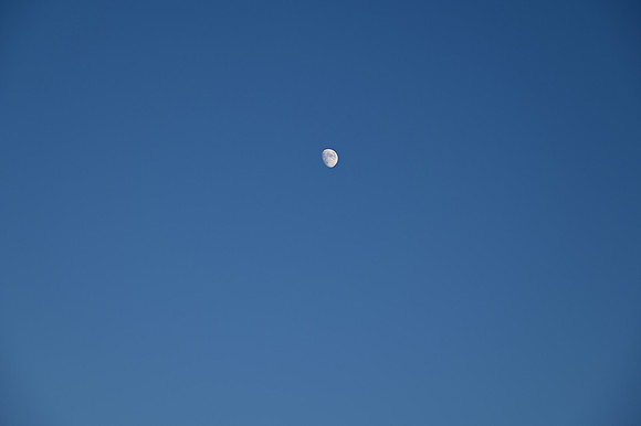 DSC_0802