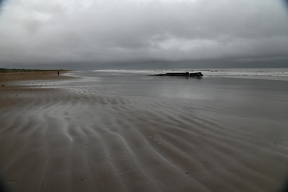 DSC_8268
