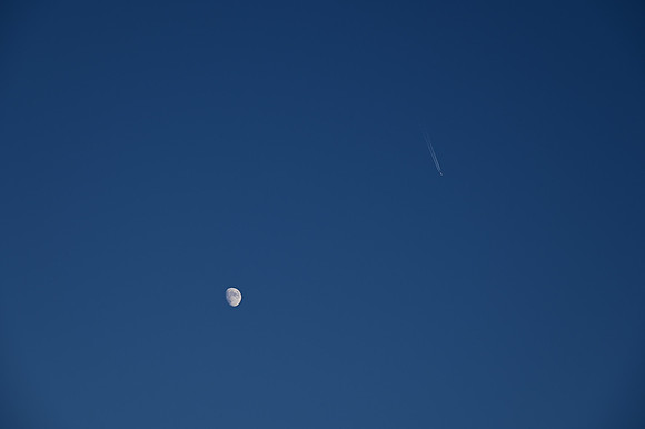DSC_0805