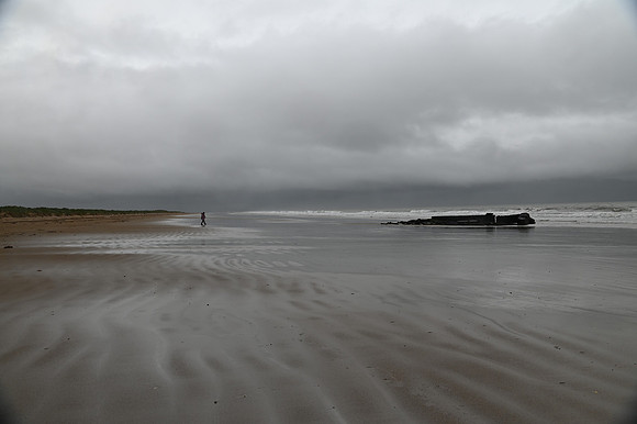 DSC_8272