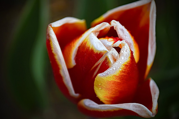 DSC_0067