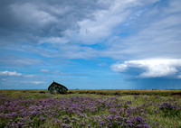 8 Blakeney