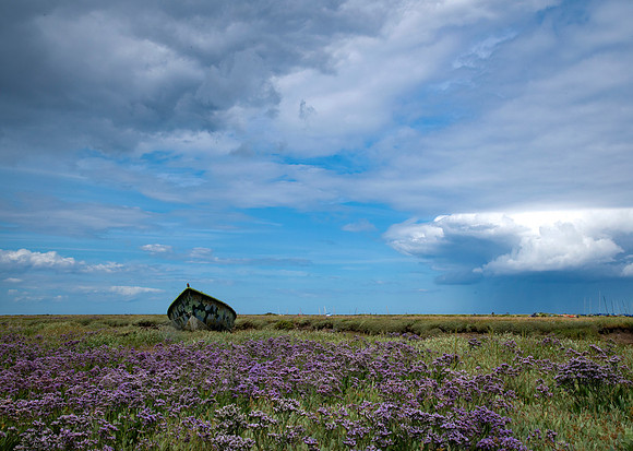 8 Blakeney