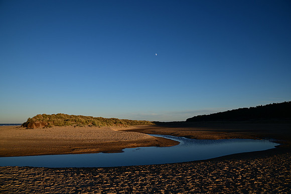 DSC_0751a