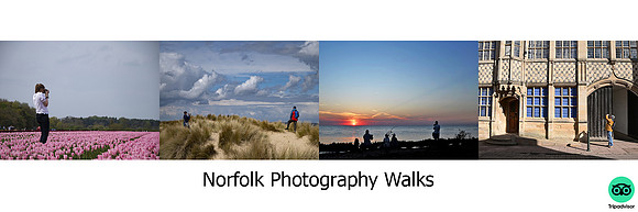 twitter pw banner trip