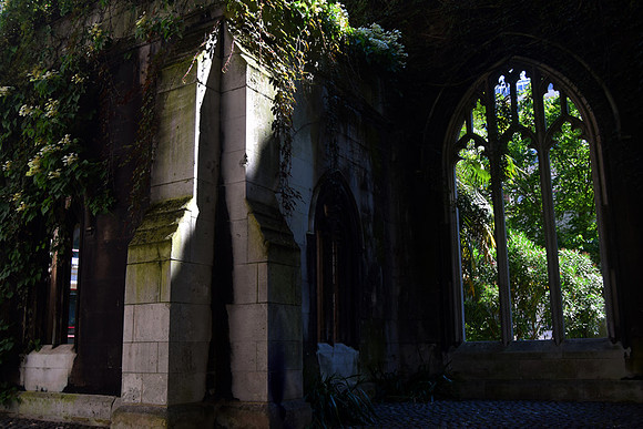 secret garden natures windo