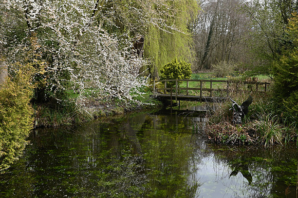 DSC_1727