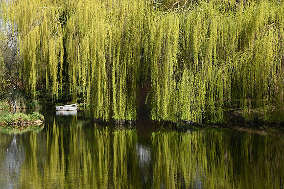 DSC_1753