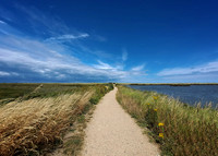 8 Titchwell