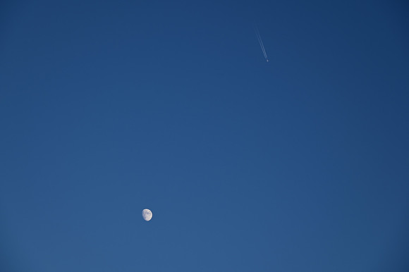 DSC_0803