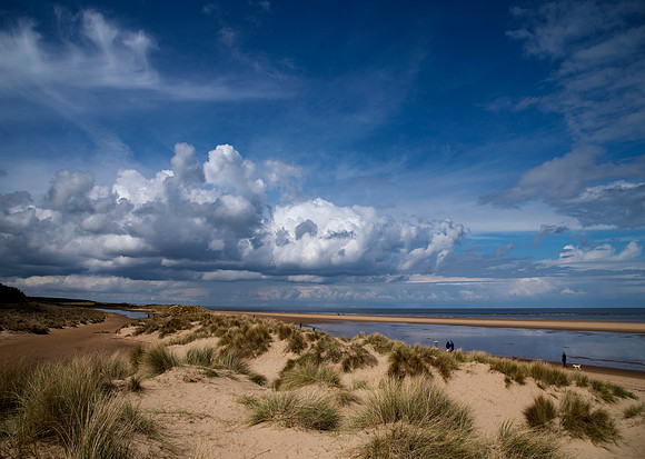 7 Holkham