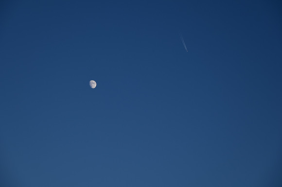 DSC_0807