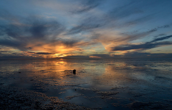 _DSC0525