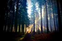 enlightenment1