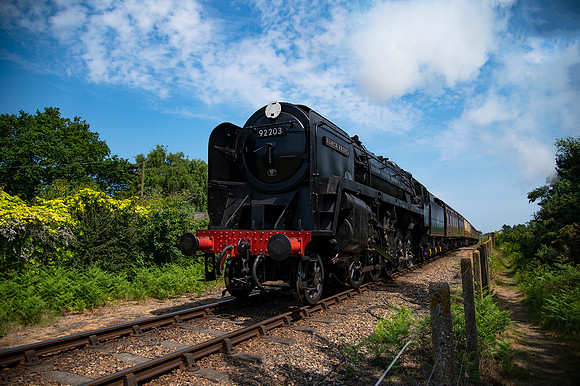 DSC_2480 small