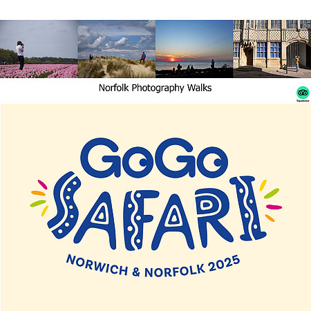 gogosafari